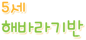 5세 해바라기반