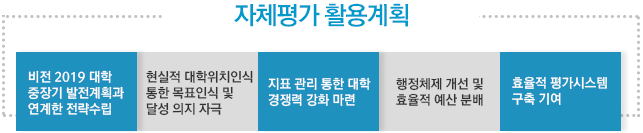 자체평가 활용계획:비전2019 대학 중장기 발전계획과 연계한 전략수립, 현실적 대학위치인식 통한 목표인식 및 달성 의지 자극, 지표 관리 통한 대학 경쟁력 강화 마련, 행정체제 개선 및 효율적 예산 분배, 효율적 평가시스템 구축 기여